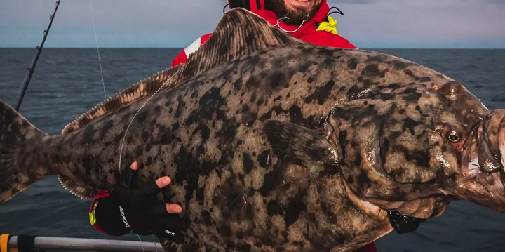 BKK Values Accessories